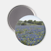 Bluebonnets Magnet Magneet (Voorkant / Achterkant)