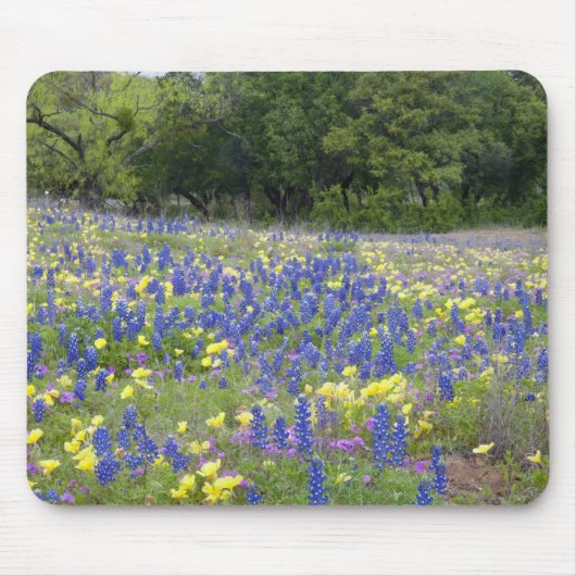Bluebonnets, primrose en phlox muismat (Voorkant)