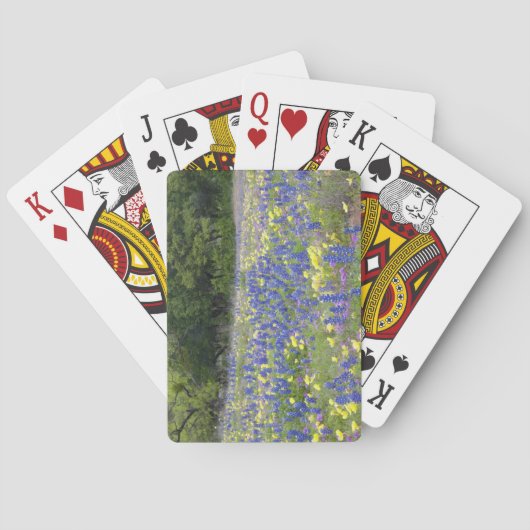 Bluebonnets, primrose en phlox pokerkaarten (Achterkant)