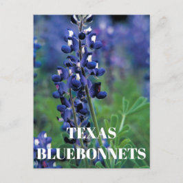 Bluebonnets Texas State Bloem Blauw Bloemen Lupine Briefkaart