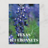Bluebonnets Texas State Bloem Blauw Bloemen Lupine Briefkaart (Voorkant)