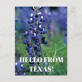 Bluebonnets Texas State Bloem Blauw Bloemen Lupine Briefkaart