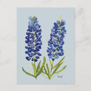Bluebonnets Texas State Flowers Lupine Waterverf Briefkaart