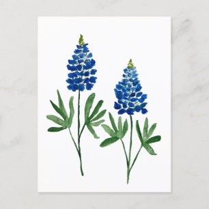 Bluebonnets Texas State Flowers Lupine Waterverf Briefkaart