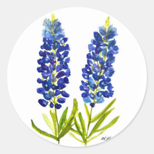 Bluebonnets Texas State Flowers Lupine Waterverf Ronde Sticker