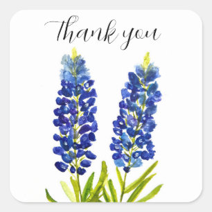 Bluebonnets Texas State Flowers Lupine Waterverf Vierkante Sticker