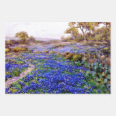 Bluebonnets Wrapping Paper Flat Sheet Set van 3 (Voorkant 2)
