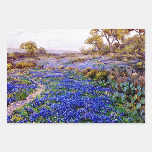 Bluebonnets Wrapping Paper Flat Sheet Set van 3 (Voorkant 2)