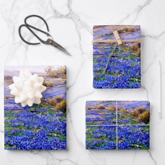 Bluebonnets Wrapping Paper Flat Sheet Set van 3 (Voorkant)