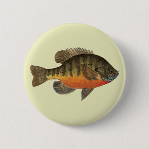 Bluegill Bream Ronde Button 5,7 Cm