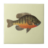 Bluegill Bream Tegeltje (Voorkant)