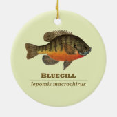 Bluegill Bream Vist Keramisch Ornament (Achterkant)