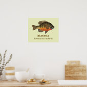 Bluegill Bream Vist Poster (Keuken)