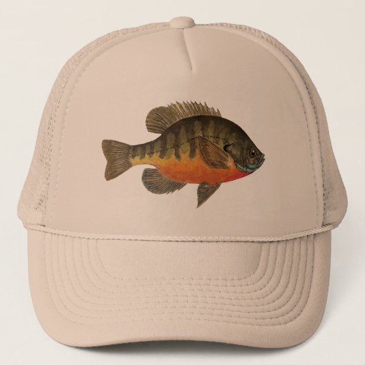 Bluegill Bream Vist zonnevisvis Tan Trucker Pet (Voorkant)