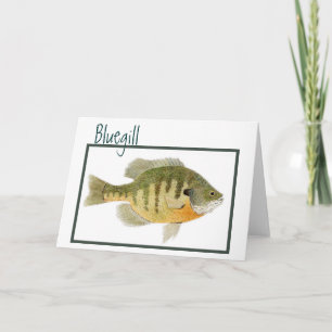 Bluegill kaart