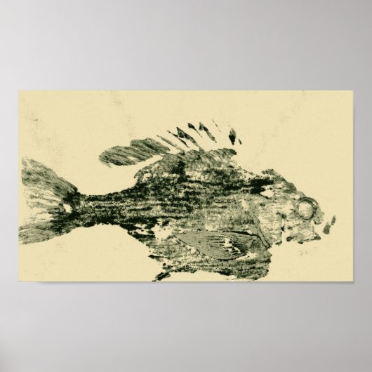 Bluegill Poster (Voorkant)