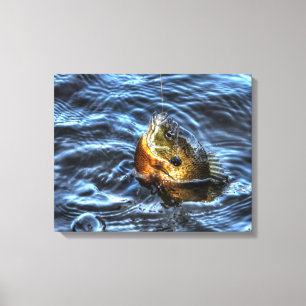 Bluegill Sunfish Fisherman's Outdoorsport Art Canvas Afdruk