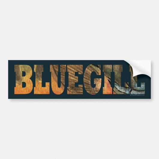 Bluegill Vist Bumpersticker (Voorkant)