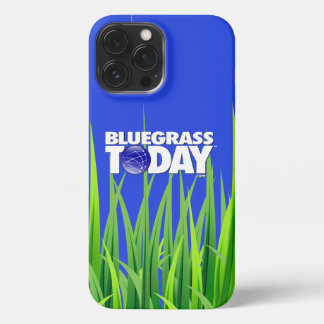 Bluegrass Vandaag Logo Grass iPhone Case 13 Pro Max Hoesje
