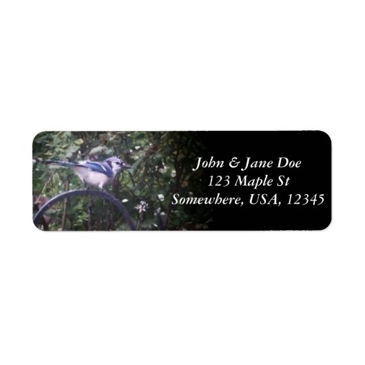 BlueJay 2 Etiket (Voorkant)