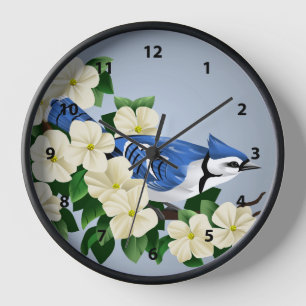 Bluejay Bird