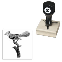 BlueJay Bird op een tak Illustratie Rubberstempel
