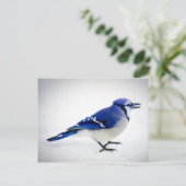 BlueJay Briefkaart (Staand voorkant)