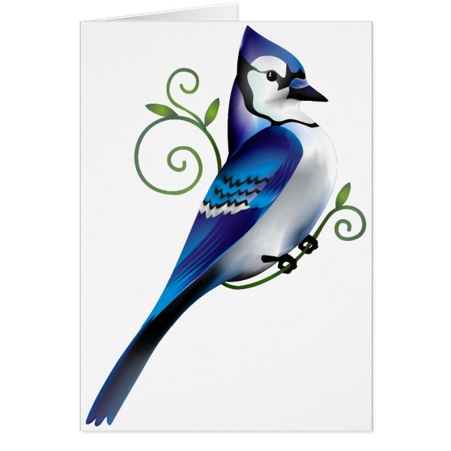 Bluejay Day (Voorkant)