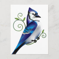 Bluejay Day