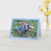 Bluejay de Groeten van de Verjaardag Kaart (Gele Bloem)