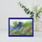Bluejay in Muskeg Briefkaart (Staand voorkant)