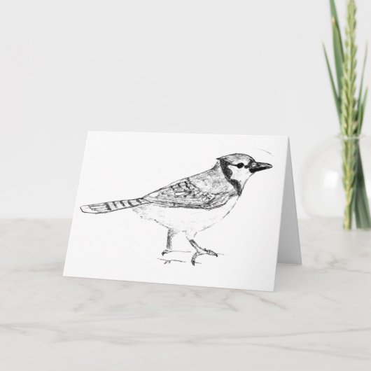 Bluejay Kaart (Voorkant)