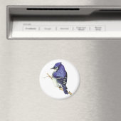 Bluejay Magnet Magneet (Insitu (Vaatwasser))