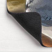 BLUEJAY MUISMAT (Hoek)