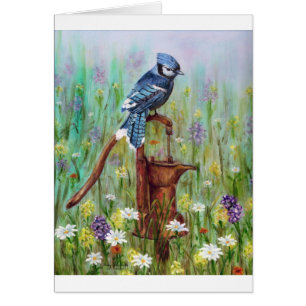 Bluejay: vreedzame Perch