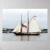 Bluenose Poster (Voorkant)