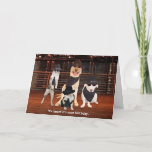 Blues Brothers Honden & Katten Kaart