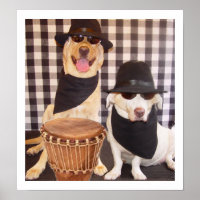 Blues Brothers Labs