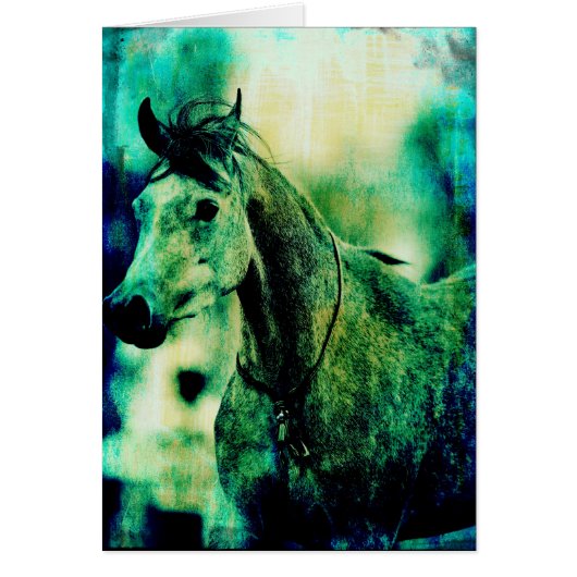 Blues d'Arabie (Devant)