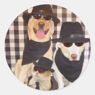 Blues Labs en Cool Cat Ronde Sticker
