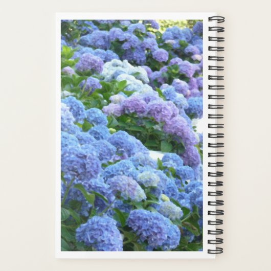 Blues Muse Hydrangeas Carnet Spiral (Dos)