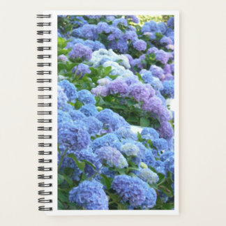 Blues Muse Hydrangeas Carnet Spiral