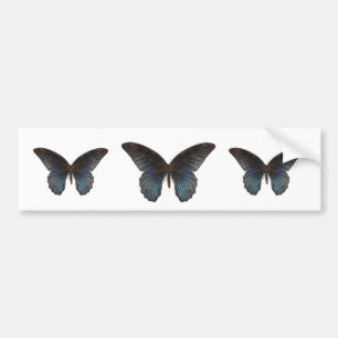 BlueSwallowTail Butterfly Bumpersticker