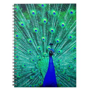  BlueTeal Pauw vogel Modern trendy patroon Notitieboek