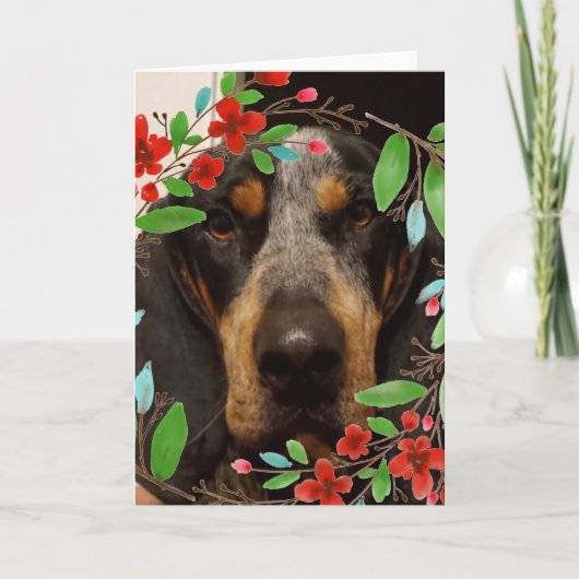 Bluetick Coonhound Dog/Pet Photo Kaart (Voorkant)