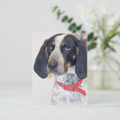 Bluetick Coonhound-foto Briefkaart (Staand voorkant)