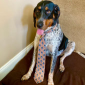 Bluetick Coonhound Necktie Stropdas