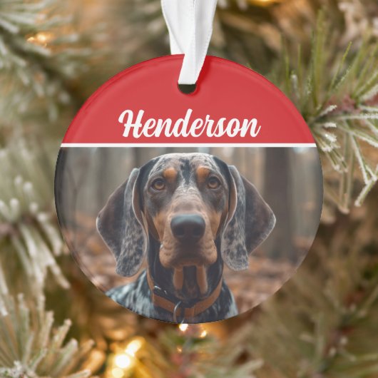 Bluetick Coonhound Nom de la photo Fête Noël (Arbre)