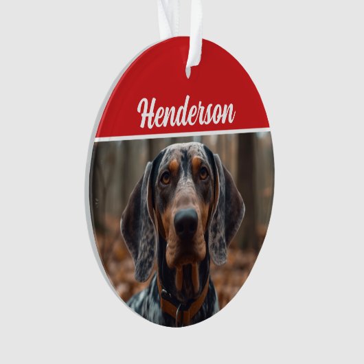 Bluetick Coonhound Nom de la photo Fête Noël (devant)