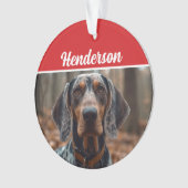 Bluetick Coonhound Nom de la photo Fête Noël (devant)